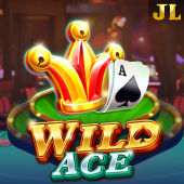 Wild Ace ptgaming slot